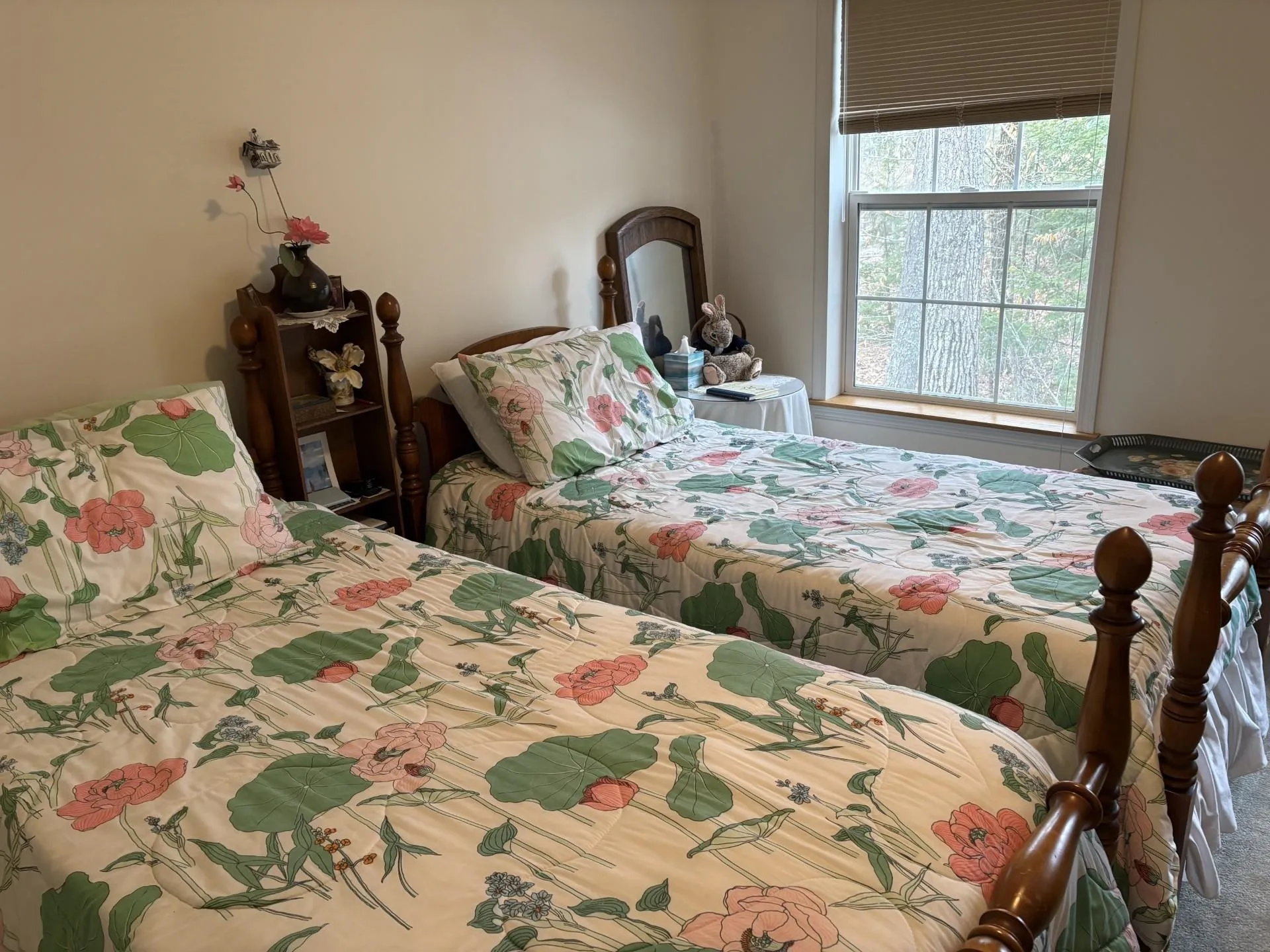 1 Harvey Brook Road Wolfeboro NH 03894
