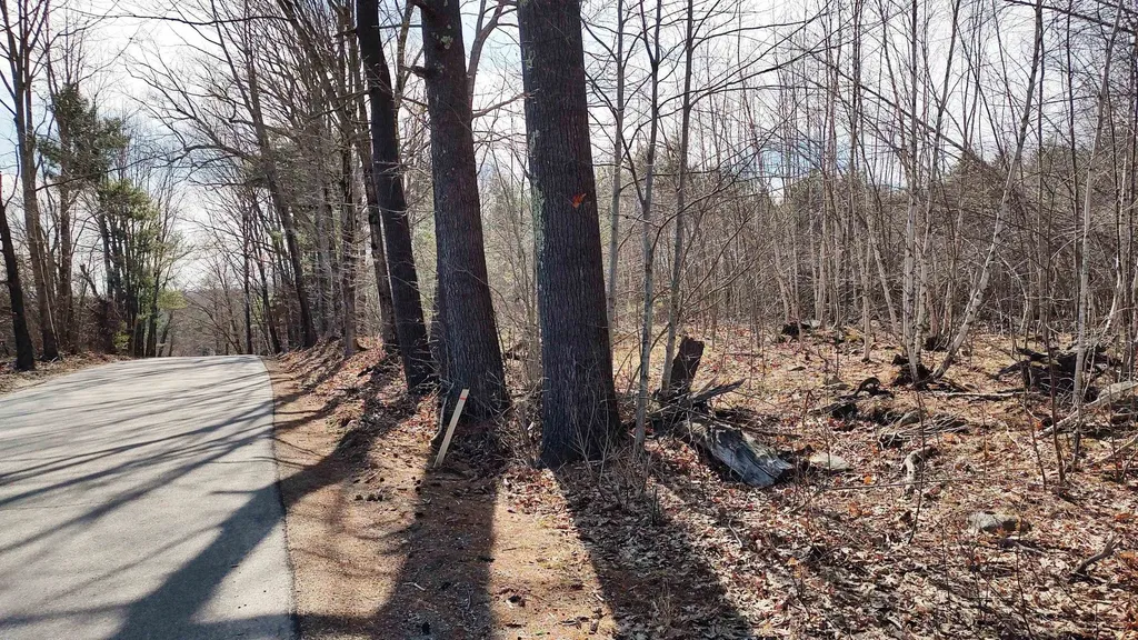 1-50-3 Colburn Road New Boston NH 03070