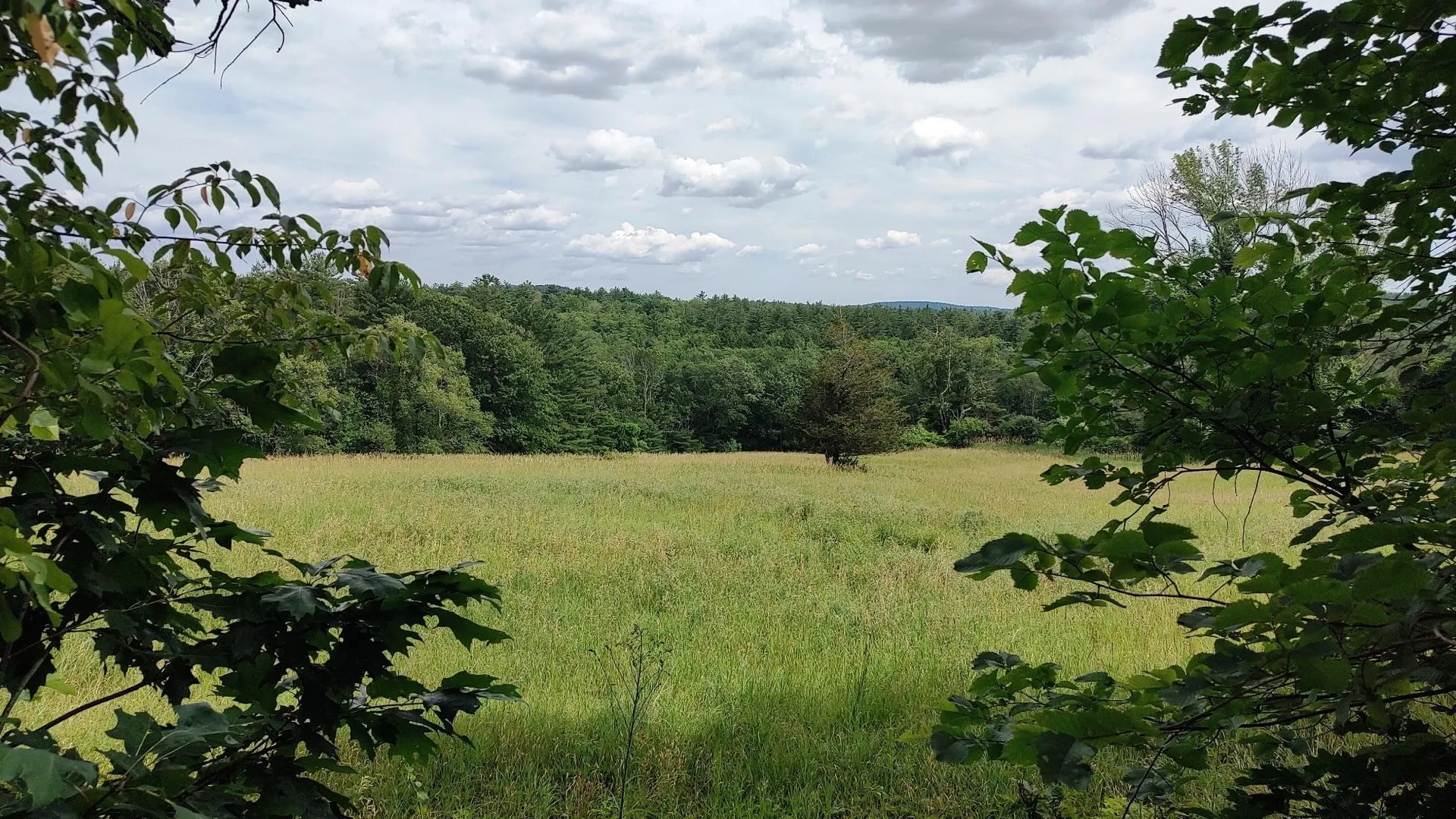 1-50-3 Colburn Road New Boston NH 03070