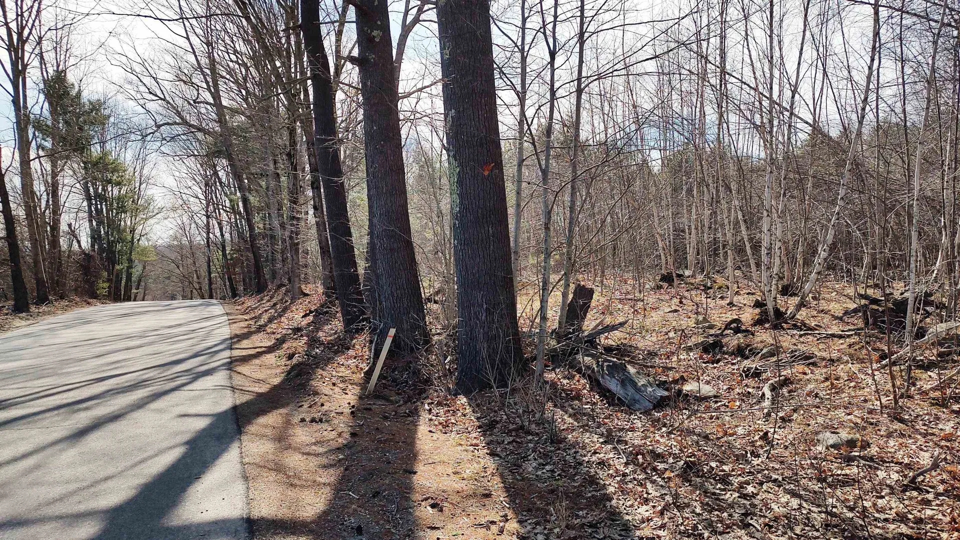 1-50-3 Colburn Road New Boston NH 03070