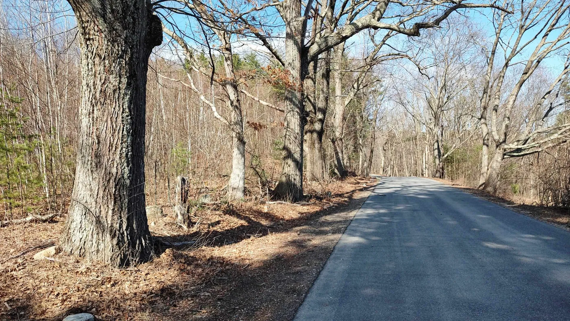 1-50-3 Colburn Road New Boston NH 03070