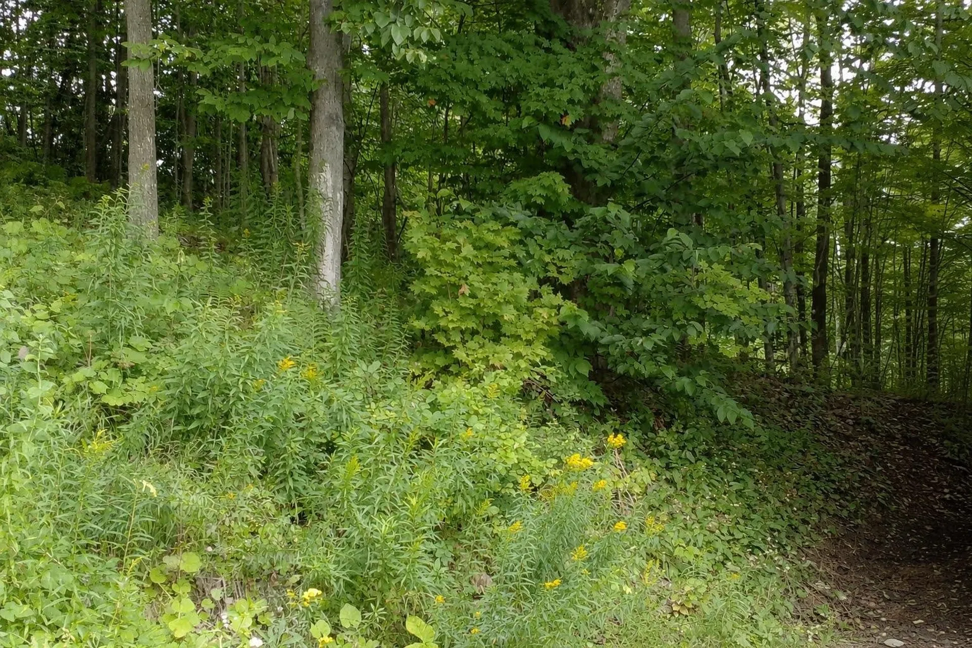 120 Lake Street Barton VT 05822