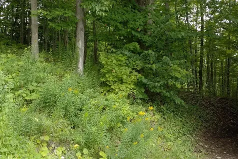 120 Lake Street Barton VT 05822