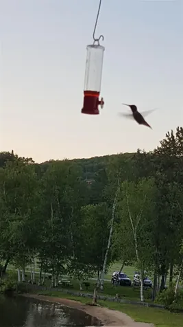 120 Lake Street Barton VT 05822