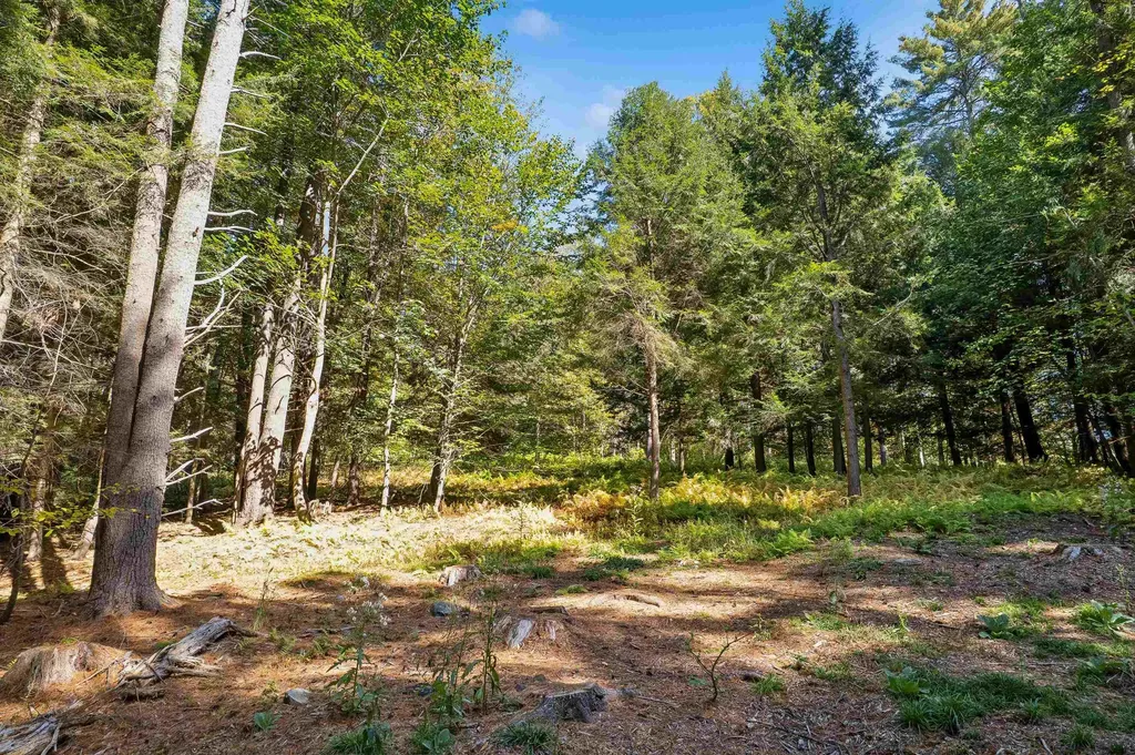 0 And 2.5 Balch Hill Lane Hanover NH 03755