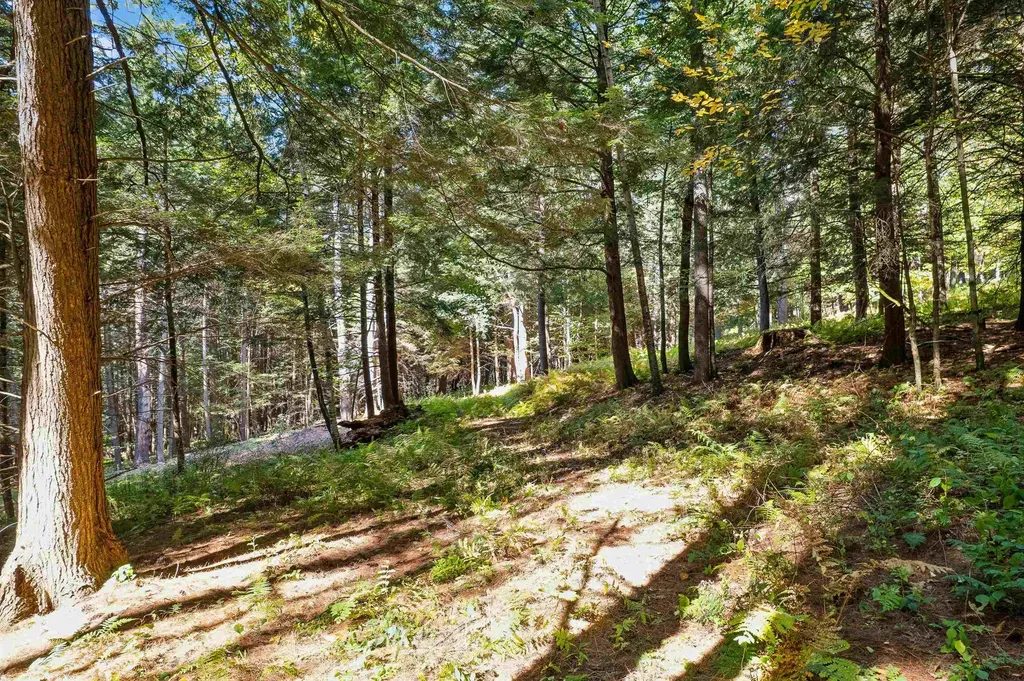 0 And 2.5 Balch Hill Lane Hanover NH 03755