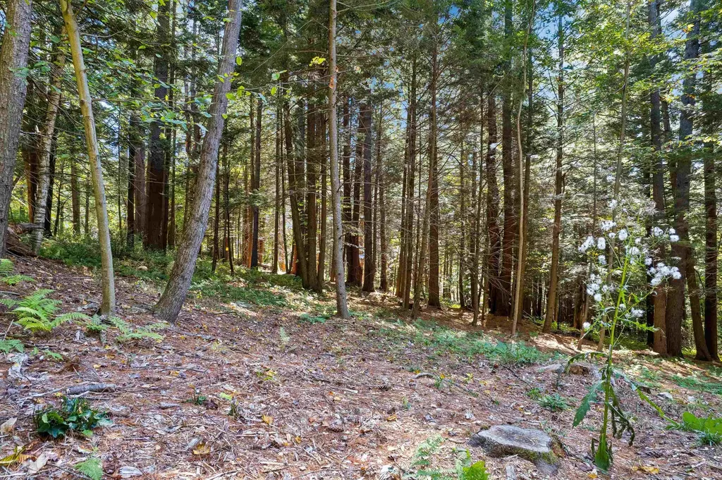 0 And 2.5 Balch Hill Lane Hanover NH 03755