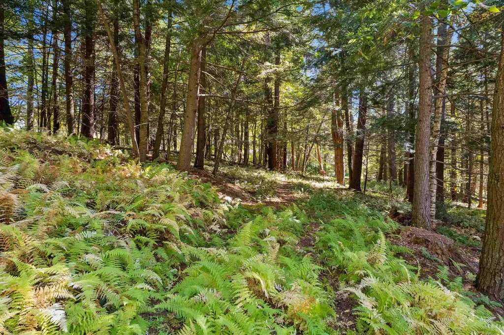 0 And 2.5 Balch Hill Lane Hanover NH 03755