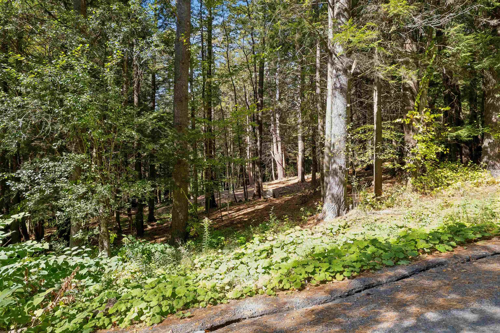 0 And 2.5 Balch Hill Lane Hanover NH 03755