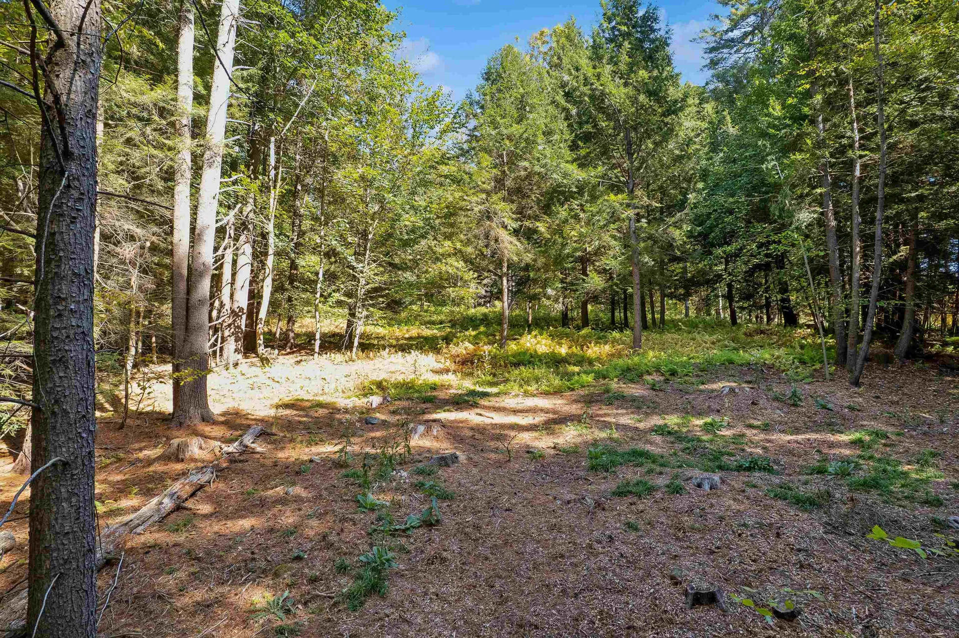 0 And 2.5 Balch Hill Lane Hanover NH 03755