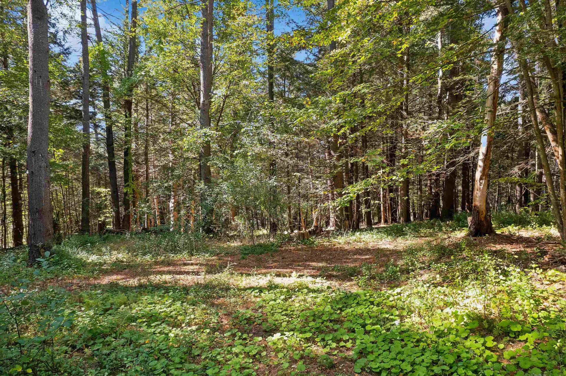 0 And 2.5 Balch Hill Lane Hanover NH 03755