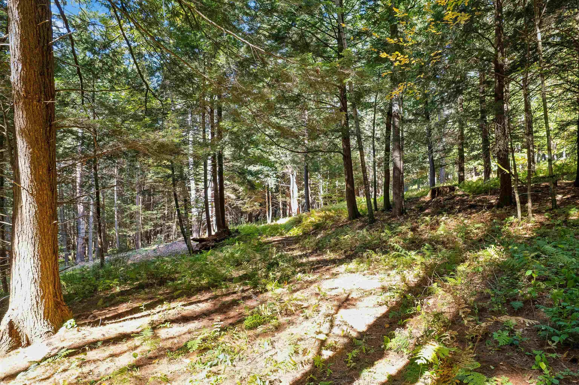 0 And 2.5 Balch Hill Lane Hanover NH 03755