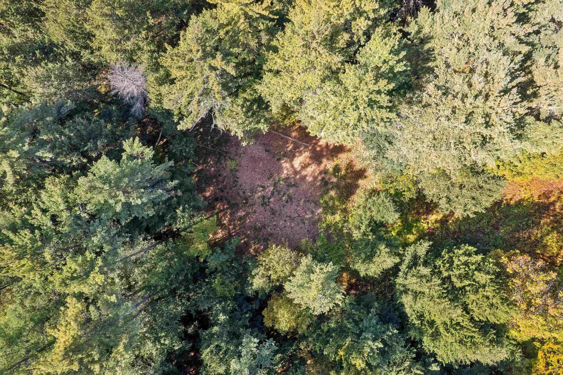 0 And 2.5 Balch Hill Lane Hanover NH 03755