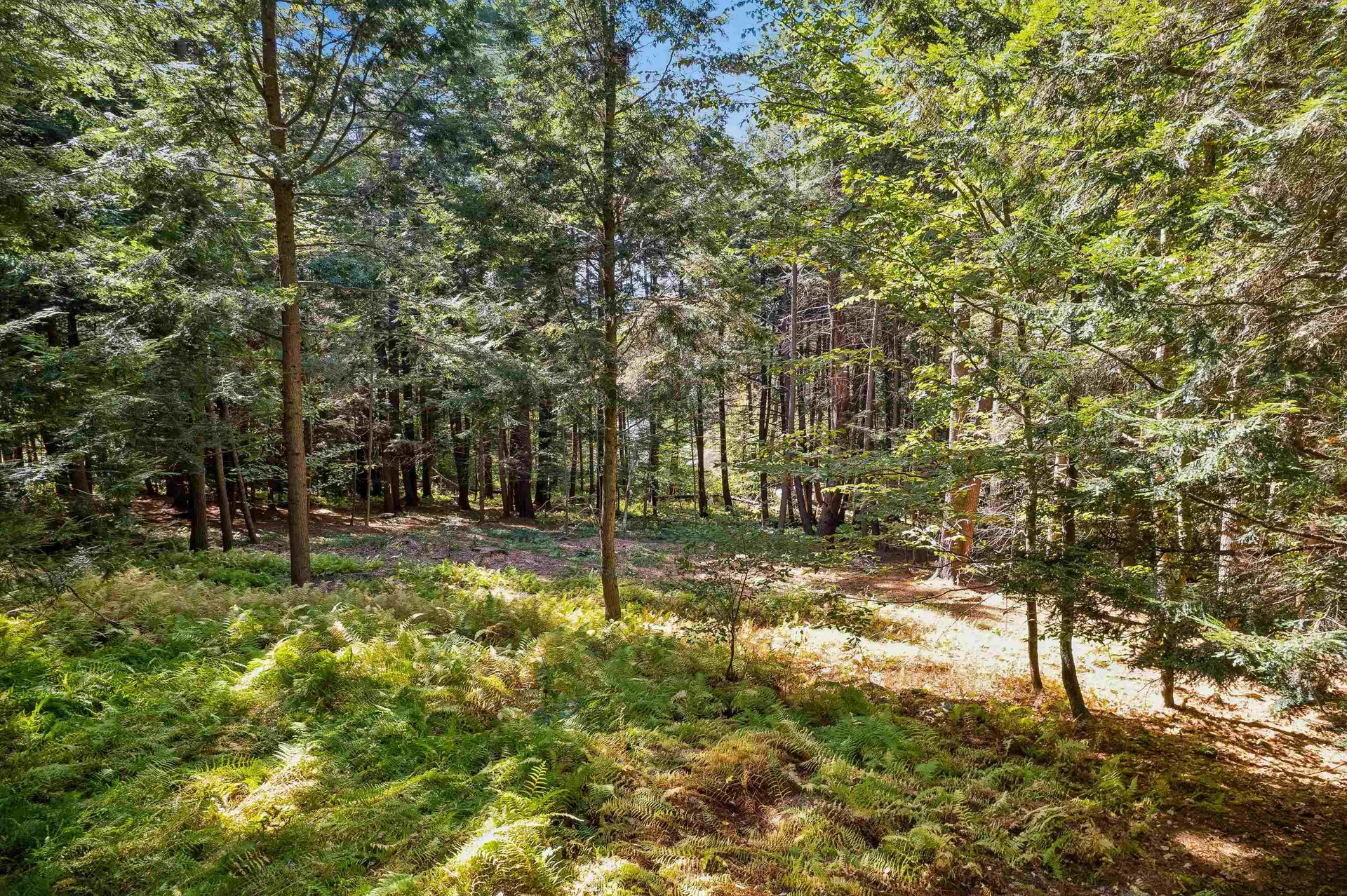 0 And 2.5 Balch Hill Lane Hanover NH 03755