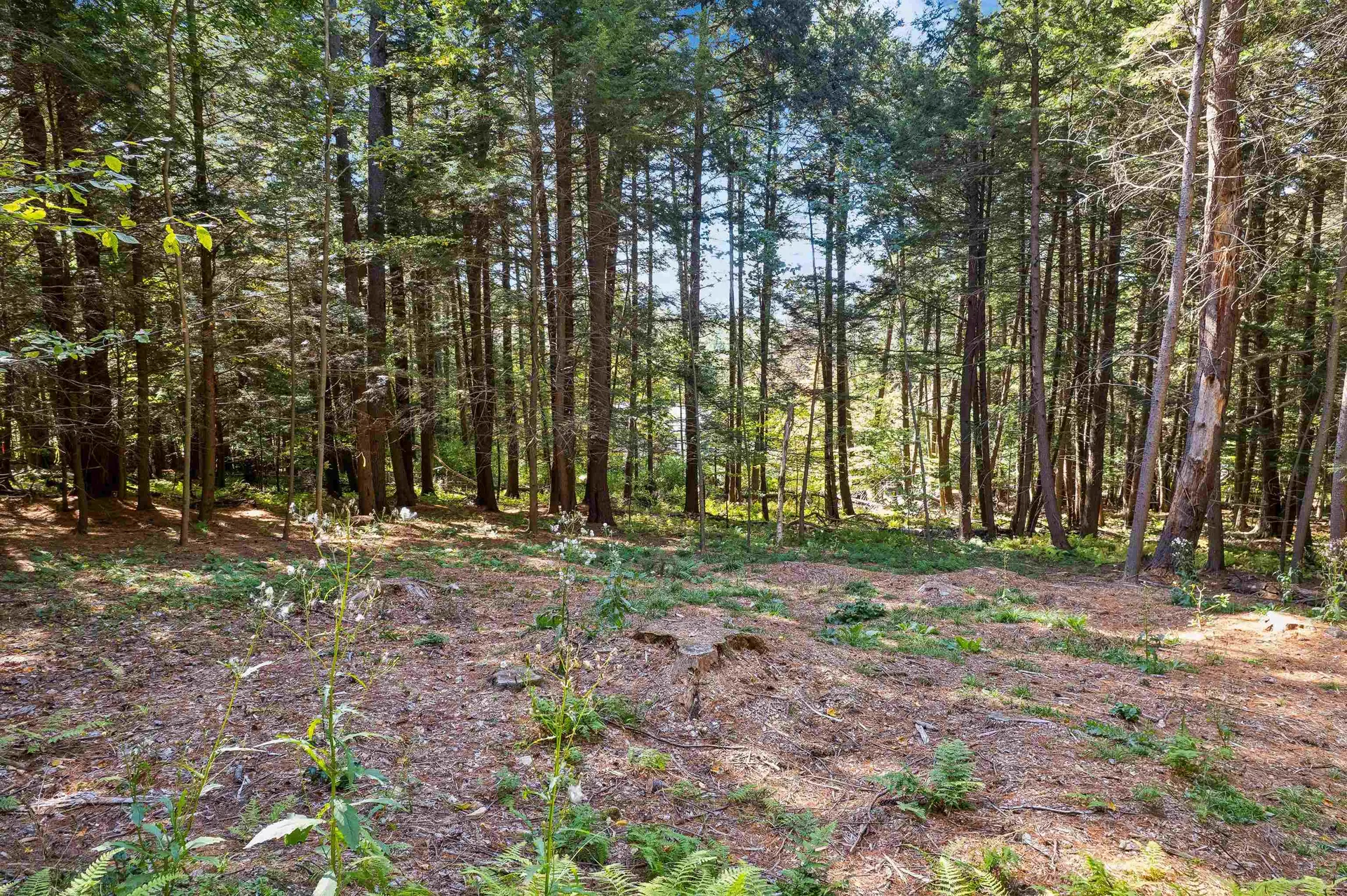 0 And 2.5 Balch Hill Lane Hanover NH 03755