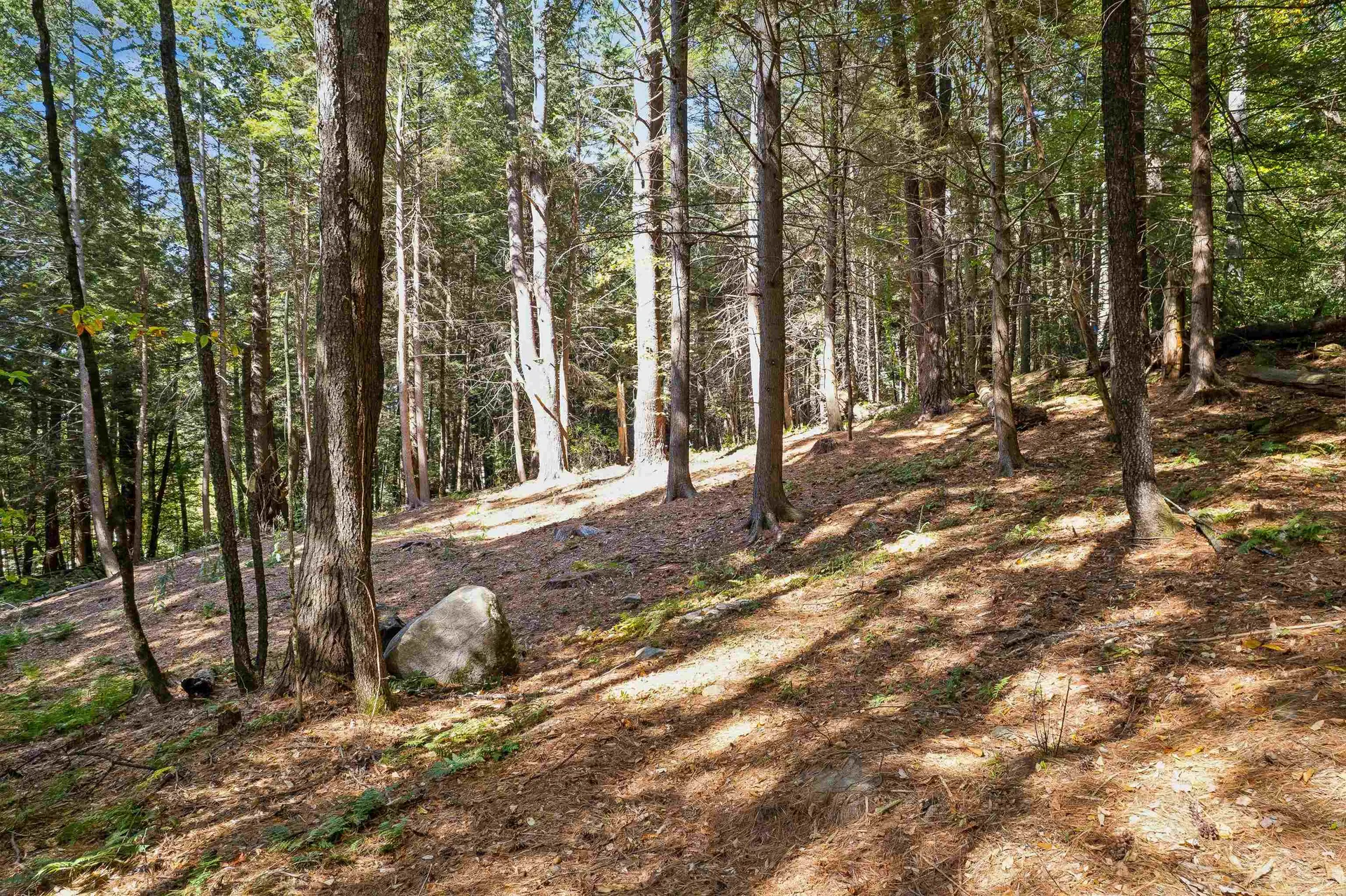 0 And 2.5 Balch Hill Lane Hanover NH 03755