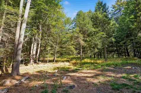 0 And 2.5 Balch Hill Lane Hanover NH 03755