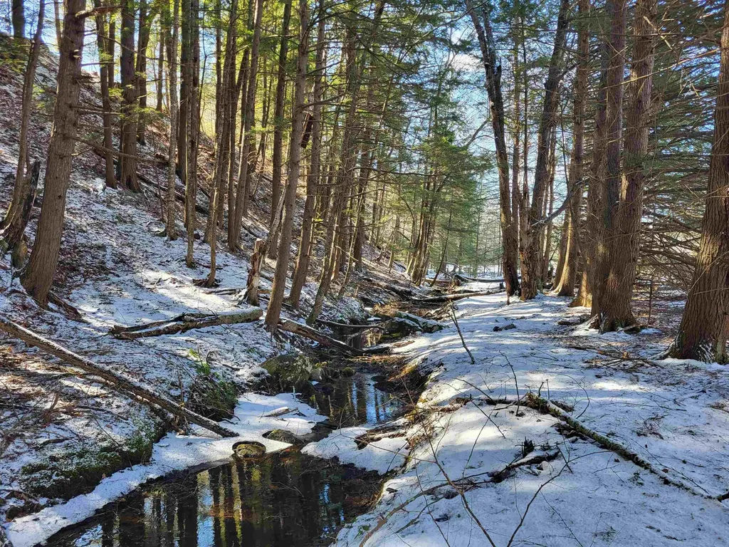 15 Berry Road Alexandria NH 03222