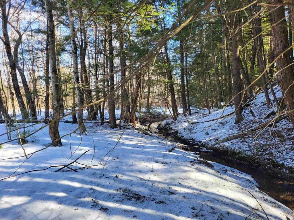 15 Berry Road Alexandria NH 03222