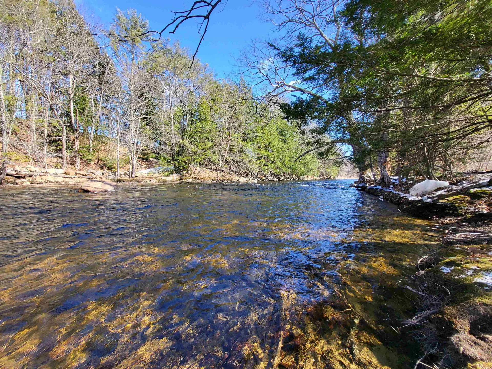 15 Berry Road Alexandria NH 03222