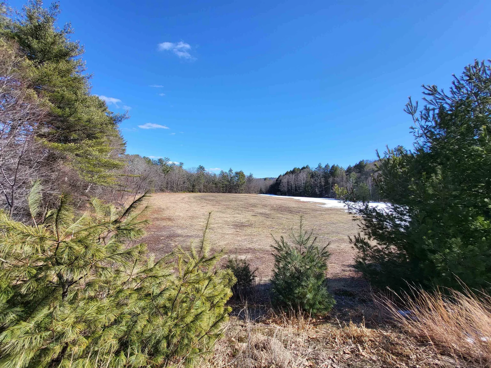 15 Berry Road Alexandria NH 03222