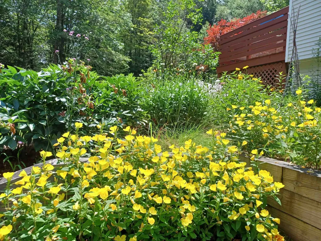 313 South Pine Banks Road Putney VT 05346