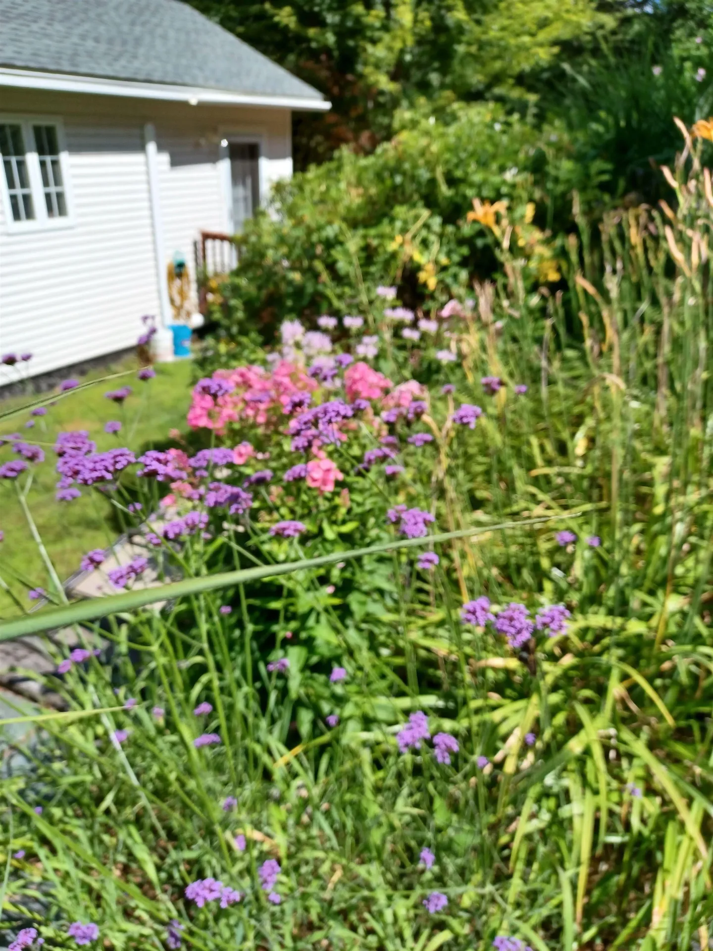 313 South Pine Banks Road Putney VT 05346