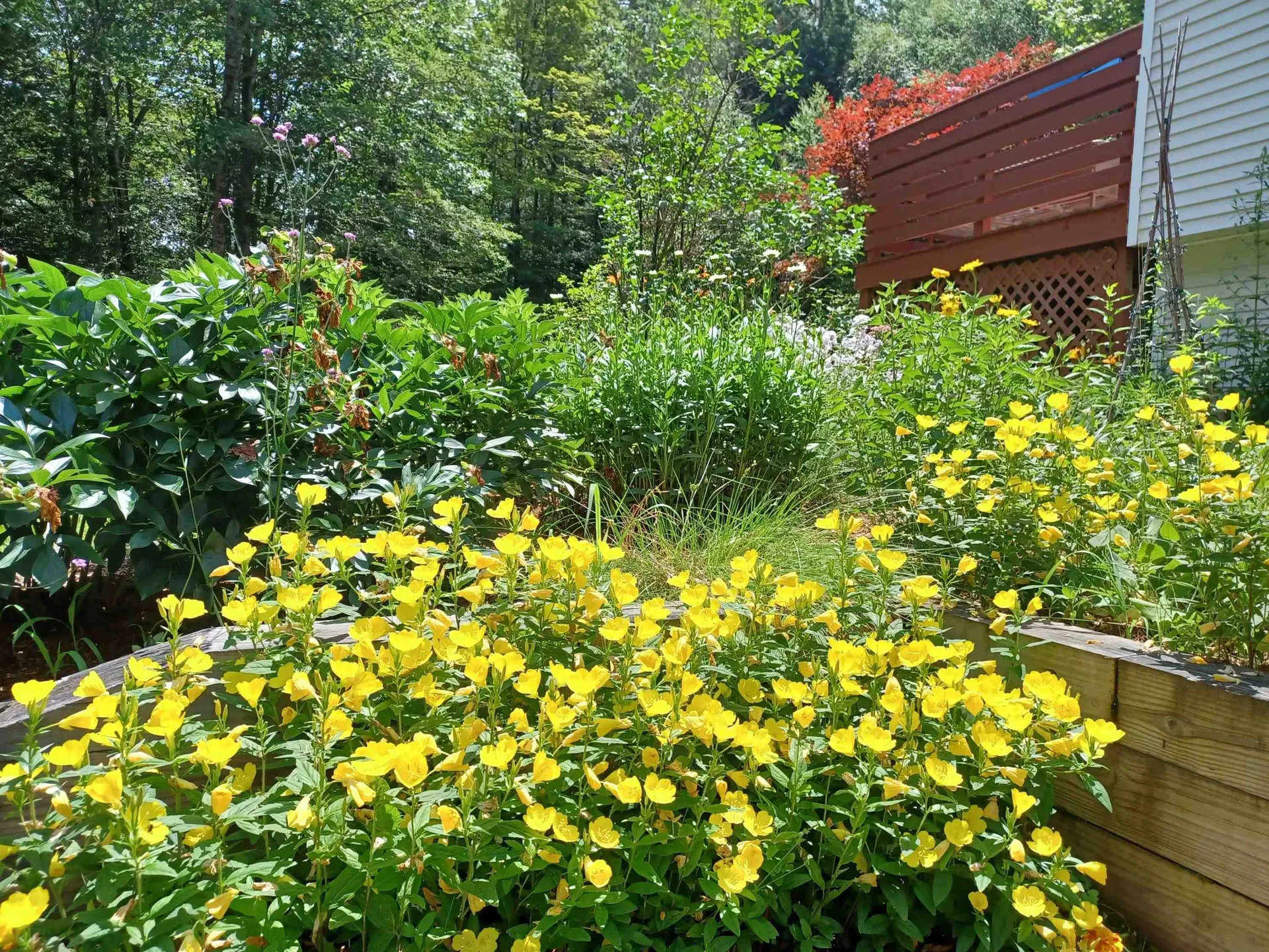 313 South Pine Banks Road Putney VT 05346