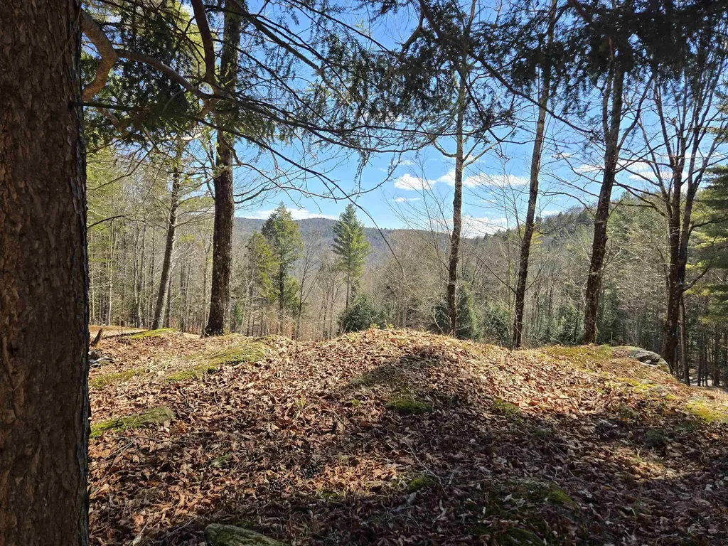 348 Fort Defiance Hill Barnard VT 05031