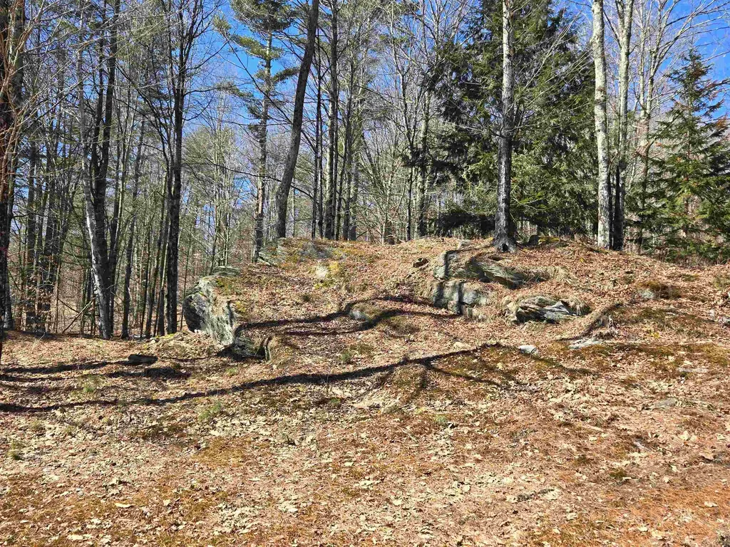 348 Fort Defiance Hill Barnard VT 05031