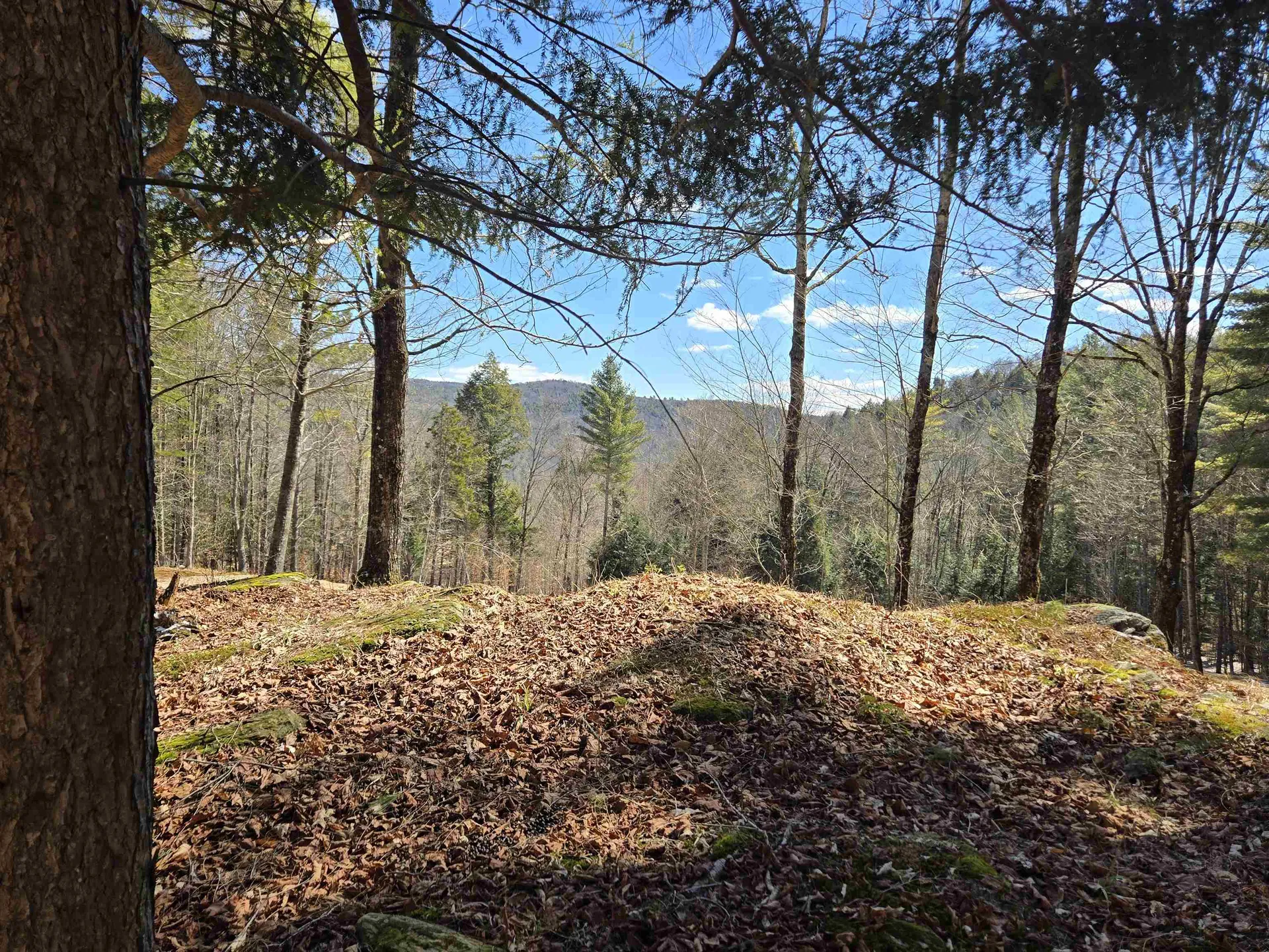 348 Fort Defiance Hill Barnard VT 05031