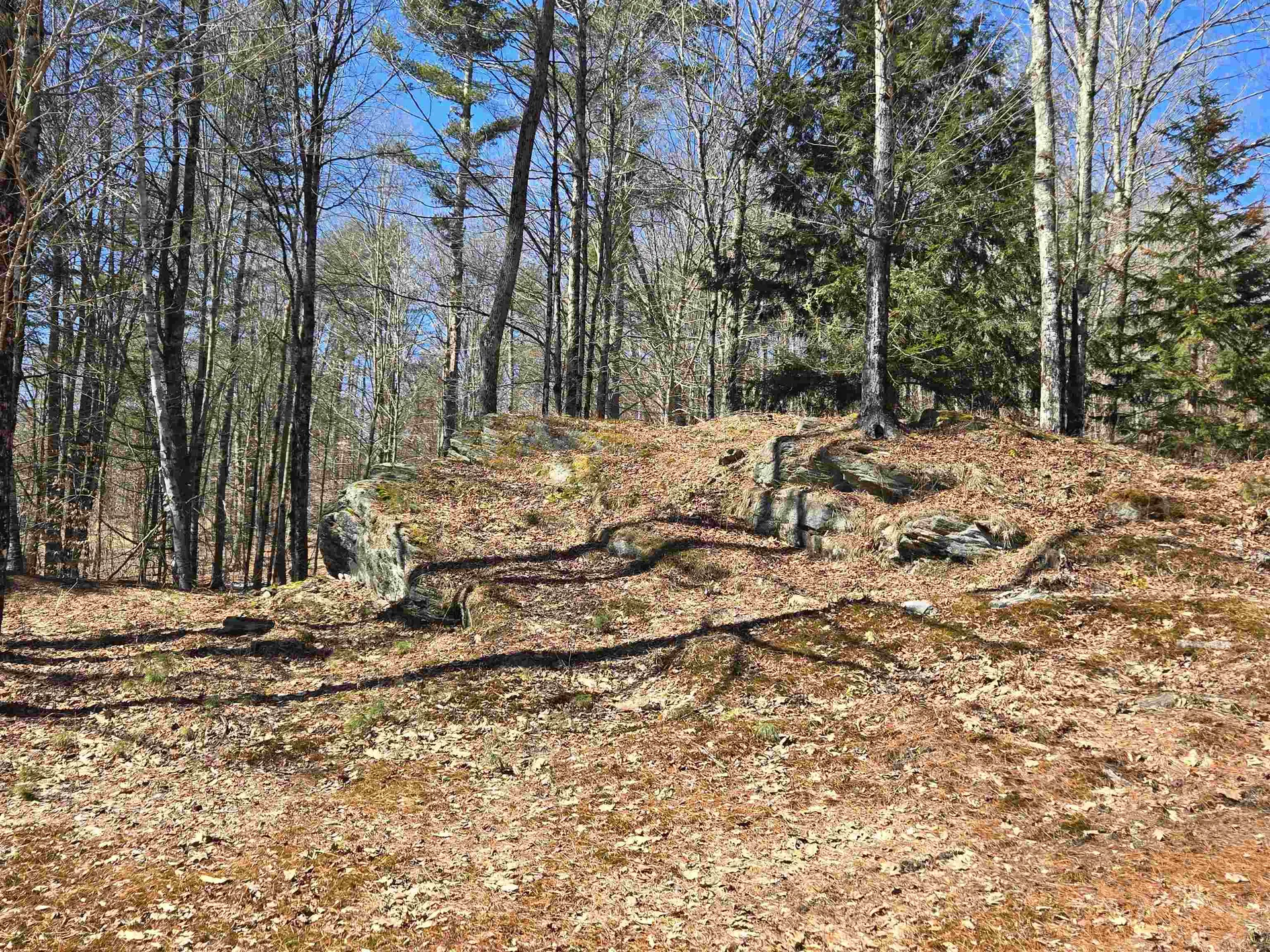 348 Fort Defiance Hill Barnard VT 05031