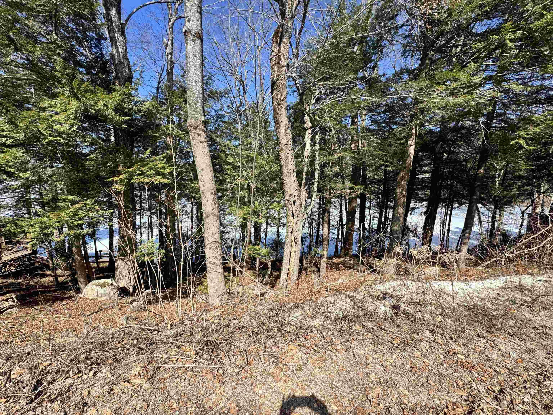 Gerald Drive Newbury NH 03255