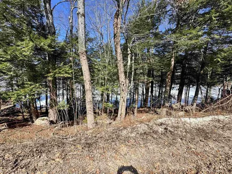 Gerald Drive Newbury NH 03255