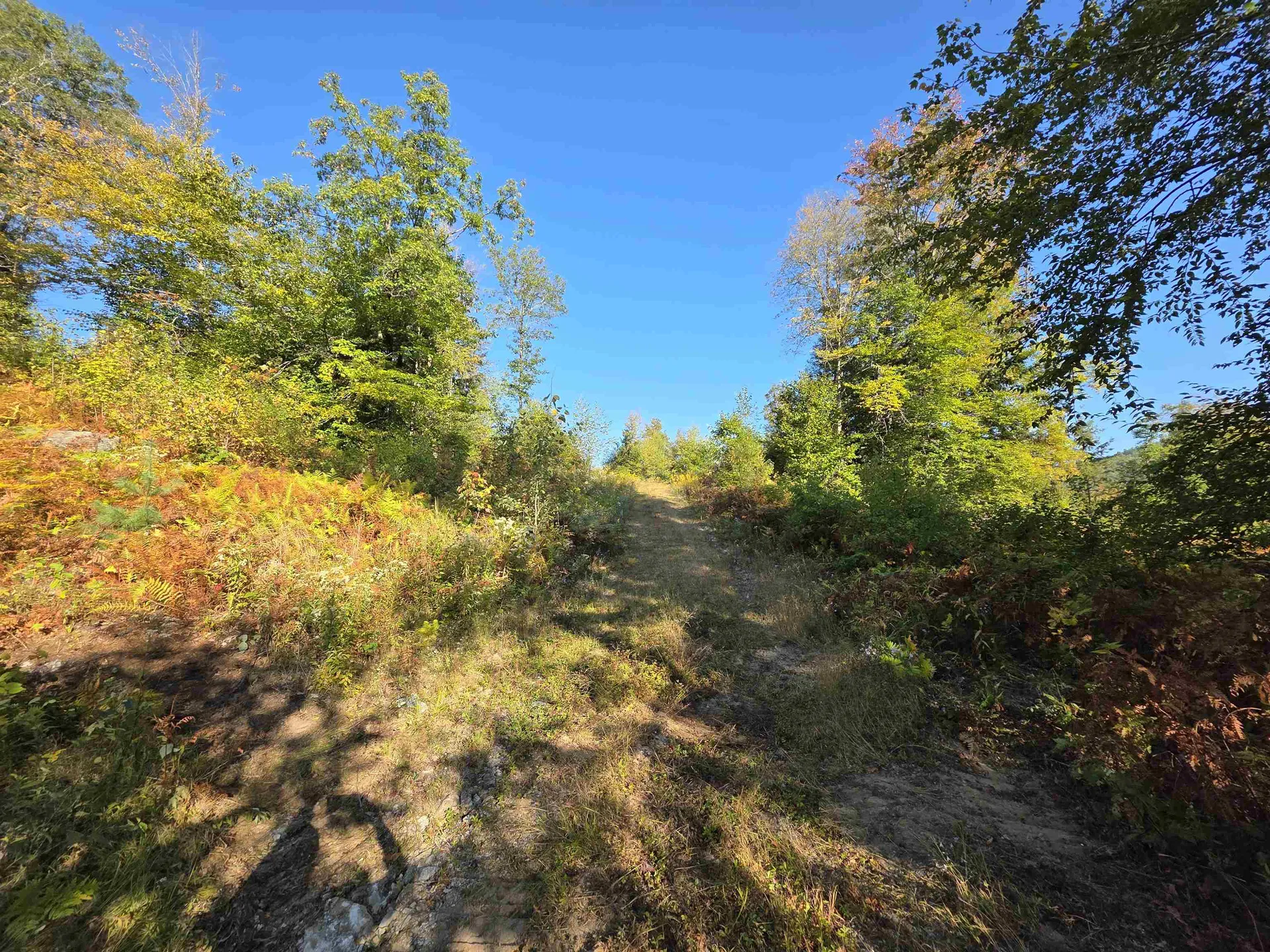 0 Nh Route 103 Warner NH 03278