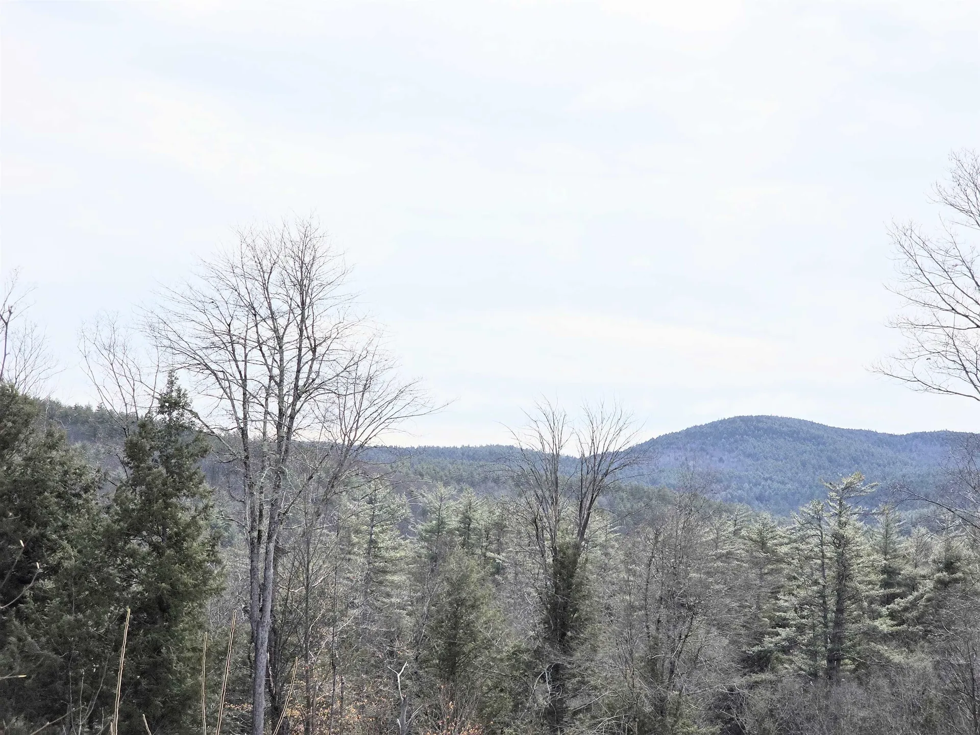 0 Nh Route 103 Warner NH 03278