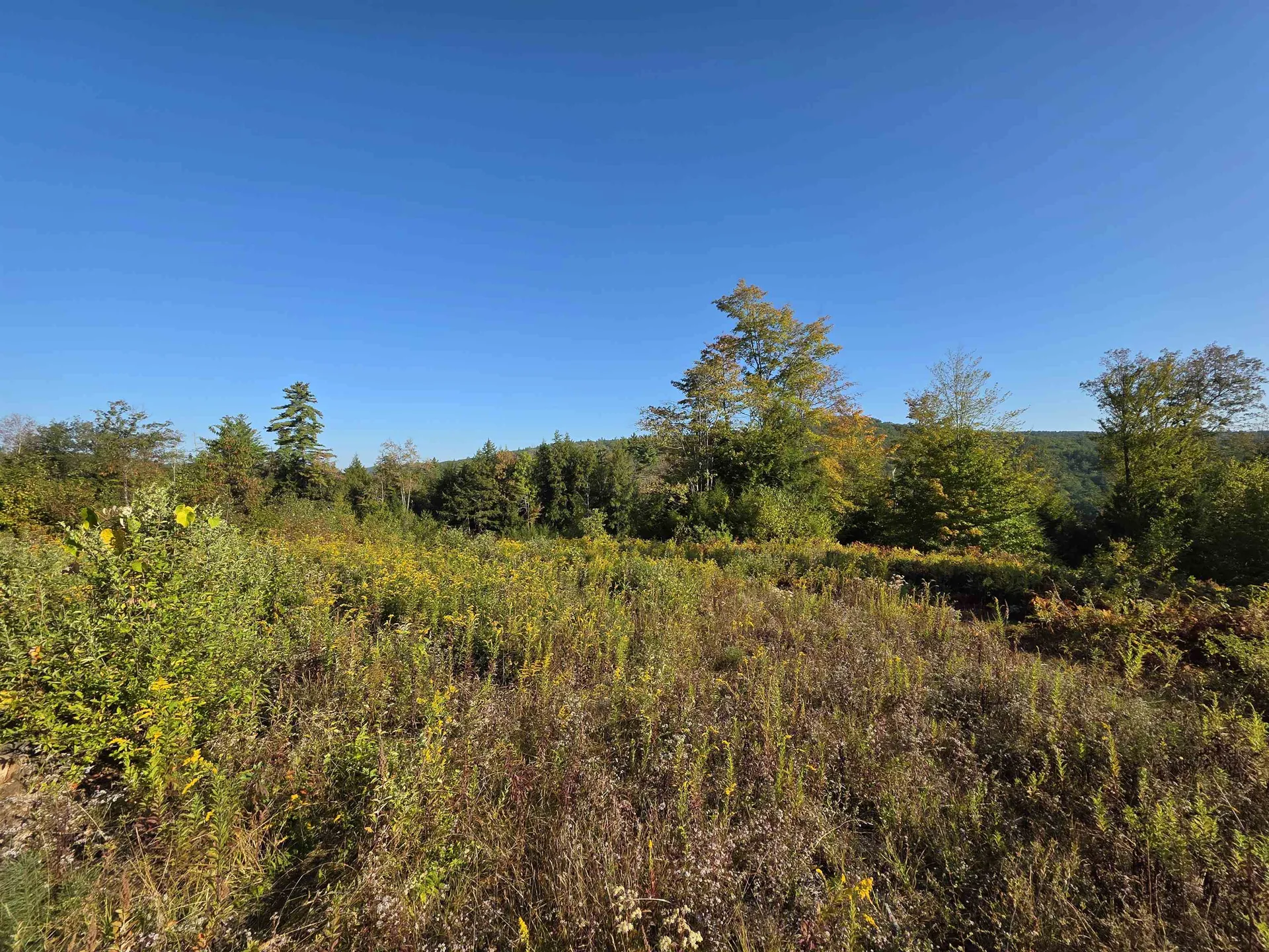0 Nh Route 103 Warner NH 03278
