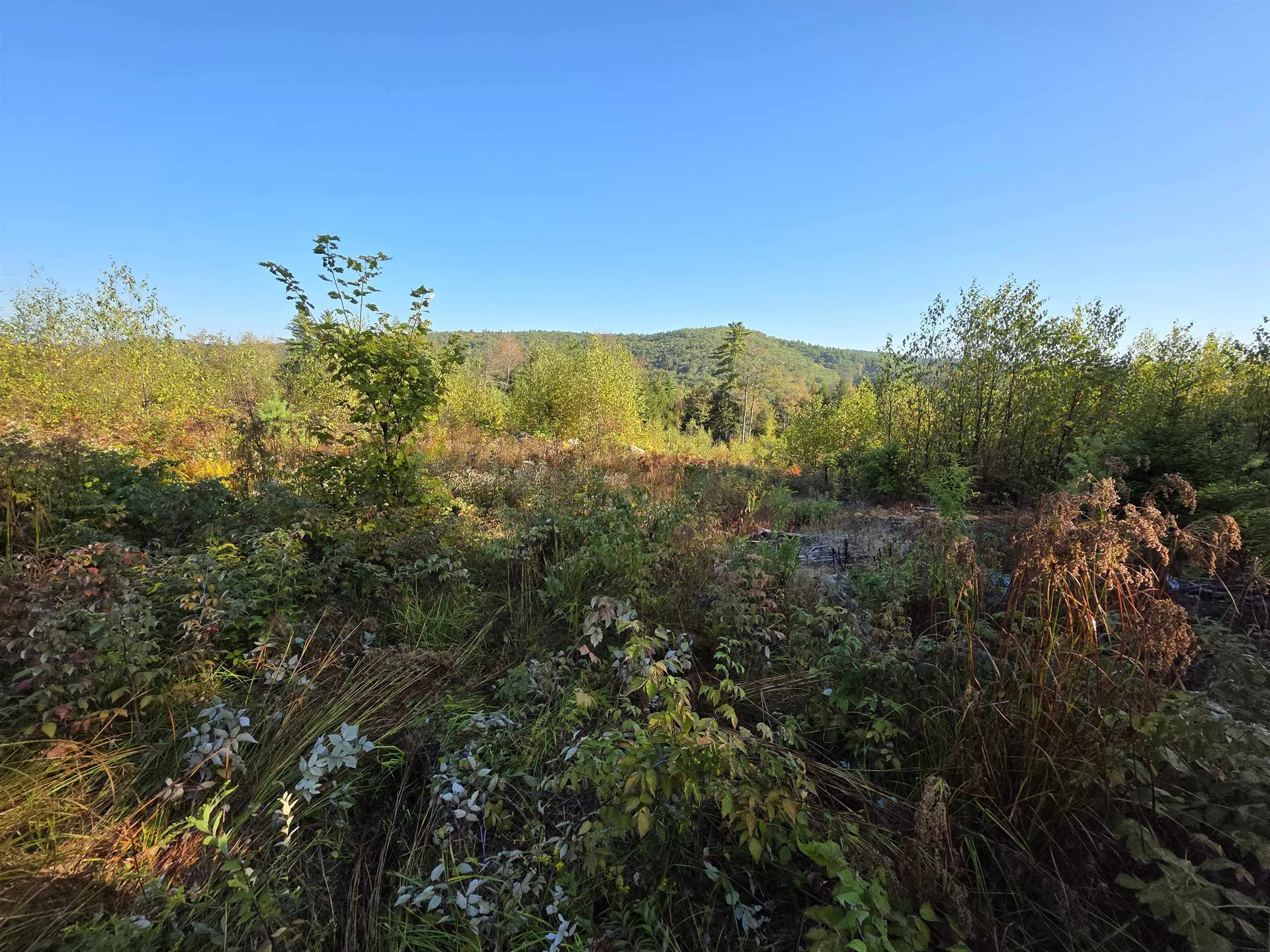 0 Nh Route 103 Warner NH 03278