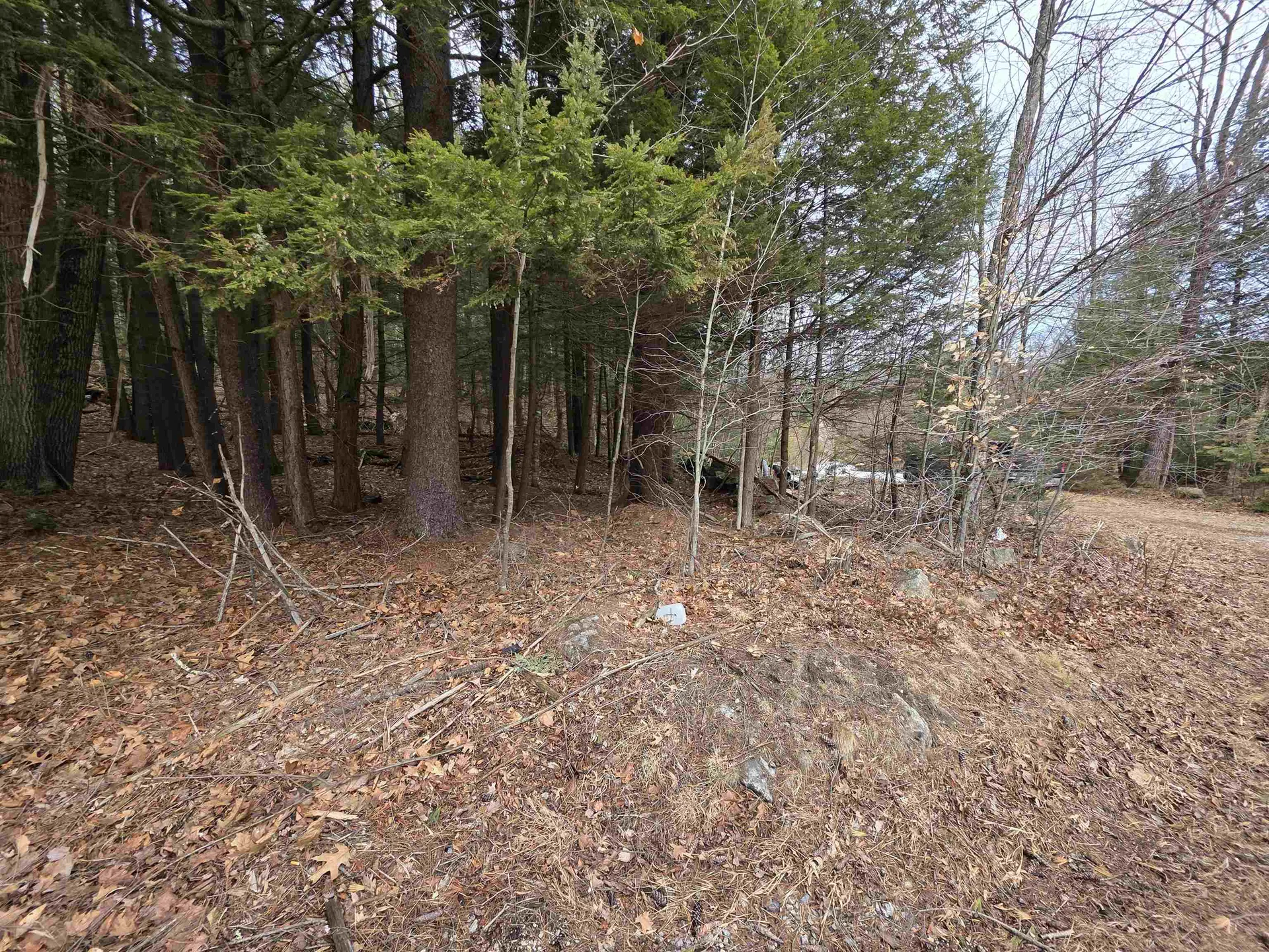 0 Nh Route 103 Warner NH 03278