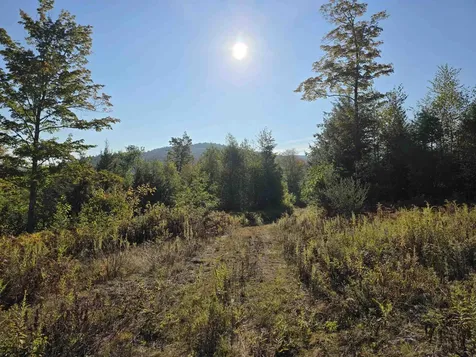 0 Nh Route 103 Warner NH 03278