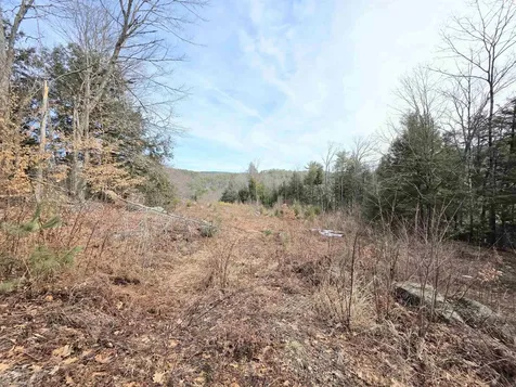 0 Nh Route 103 Warner NH 03278