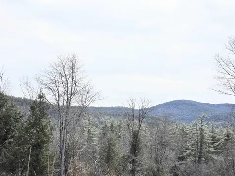 0 Nh Route 103 Warner NH 03278