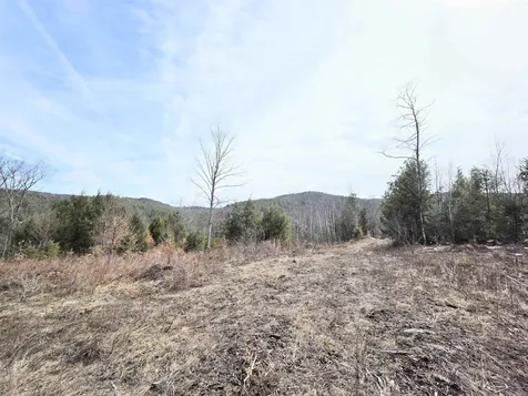 0 Nh Route 103 Warner NH 03278