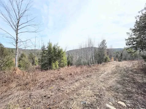0 Nh Route 103 Warner NH 03278