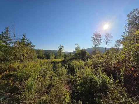 0 Nh Route 103 Warner NH 03278