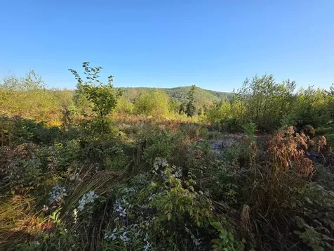 0 Nh Route 103 Warner NH 03278
