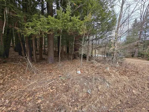0 Nh Route 103 Warner NH 03278