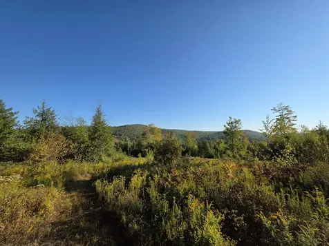 0 Nh Route 103 Warner NH 03278