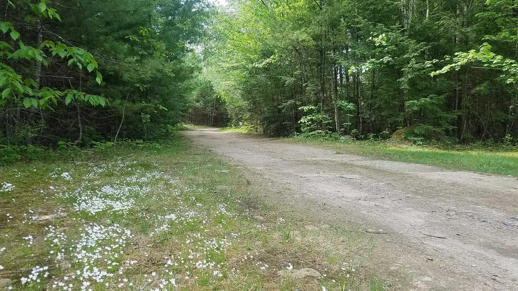 19 Saco Street Conway NH 03813
