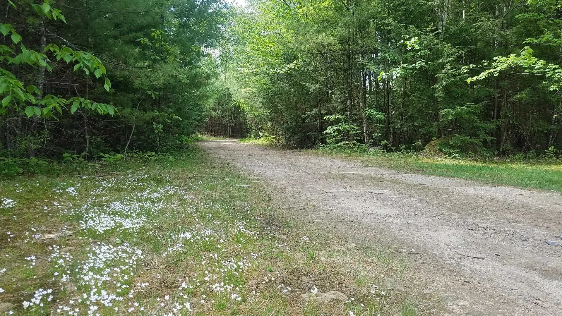 19 Saco Street Conway NH 03813